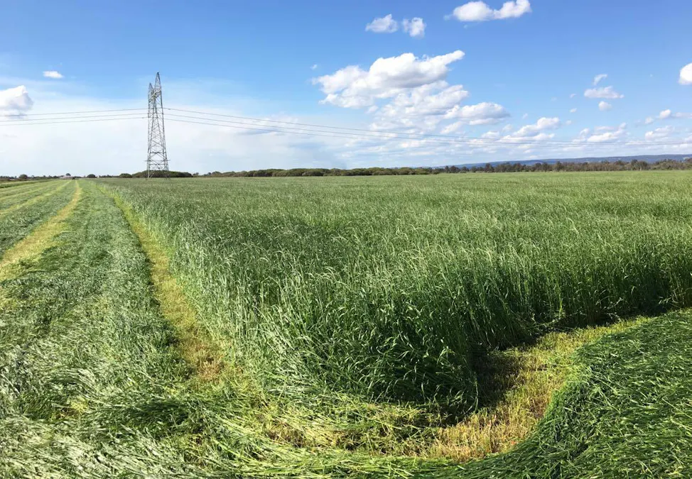 Lot 4195 Jackson Road, Cookernup, WA, 6219 - Image 6
