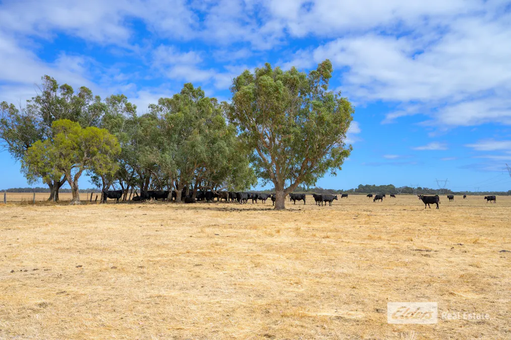 Lot 4195 Jackson Road, Cookernup, WA, 6219 - Image 5
