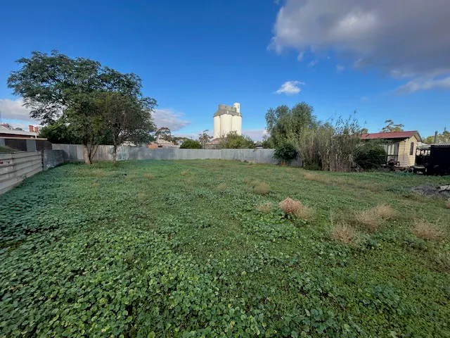 28 William Street, Brinkworth, SA, 5464 - Image 3