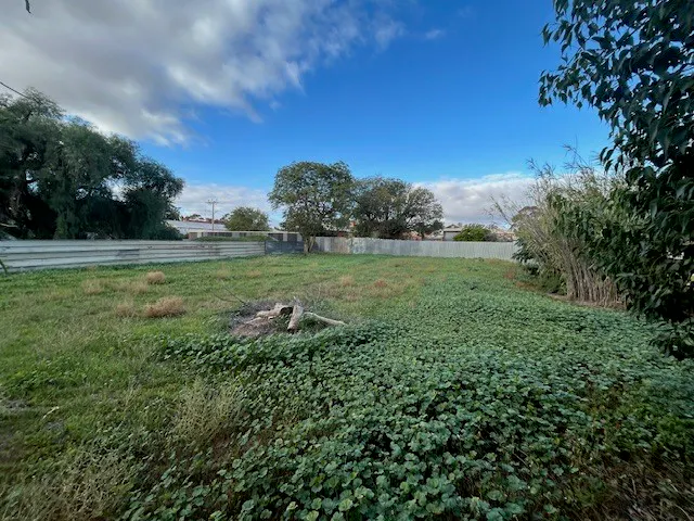 28 William Street, Brinkworth, SA, 5464 - Image 6