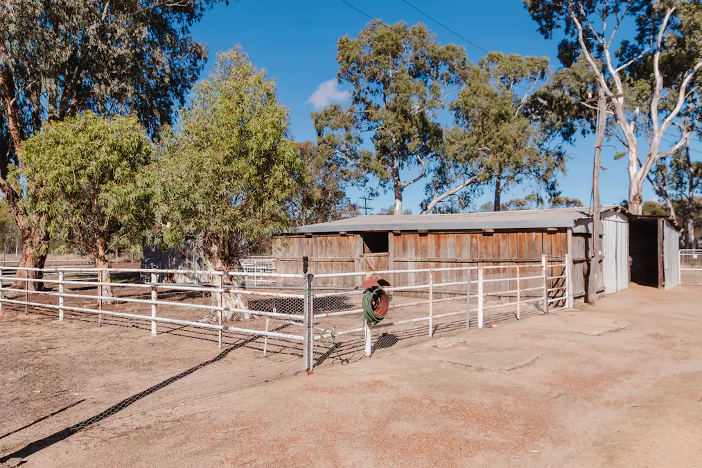 58 Havelock Street, Narrogin, WA, 6312 - Image 17