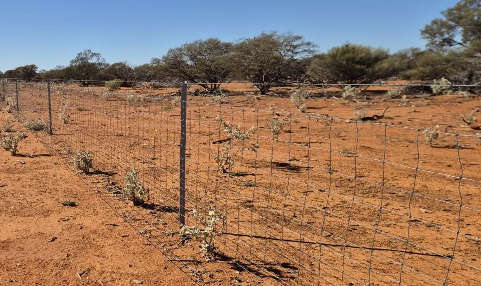 Jingemarra Station, North Road, Yalgoo, WA, 6635 - Image 13