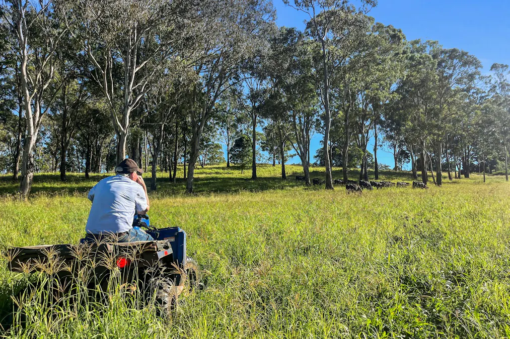1322 Nukku Mt-Binga Road, Mount Binga, QLD, 4314 - Image 6
