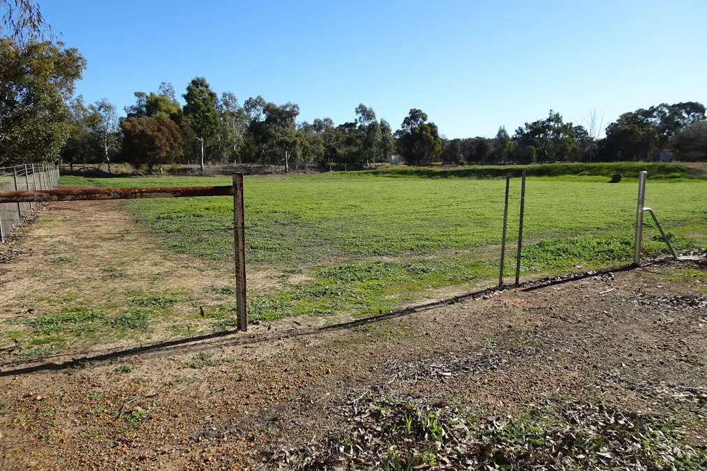 Lot 677 Havelock Street, Narrogin, WA, 6312 - Image 7