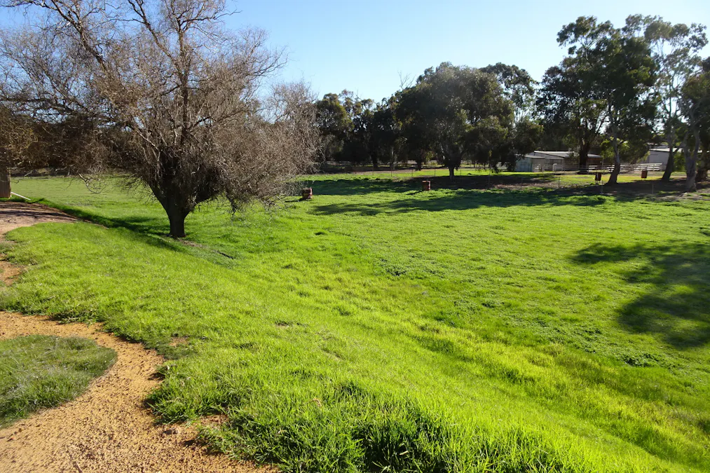 Lot 677 Havelock Street, Narrogin, WA, 6312 - Image 2