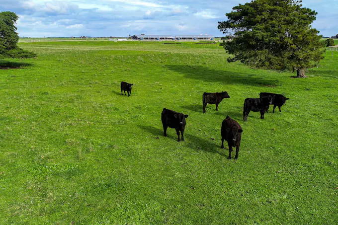 Lot 91 Uphills Road, Kongorong, SA, 5291 - Image 1
