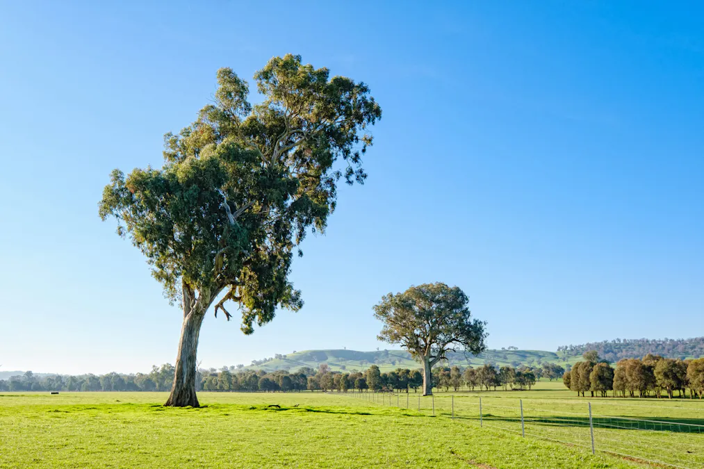70 Stonehaven Road, Holbrook, NSW, 2644 - Image 4