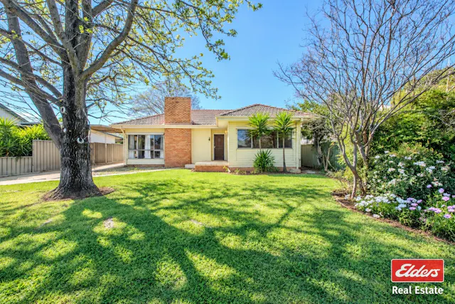 6 Hampden Street — photo from Elders Real Estate Dubbo
