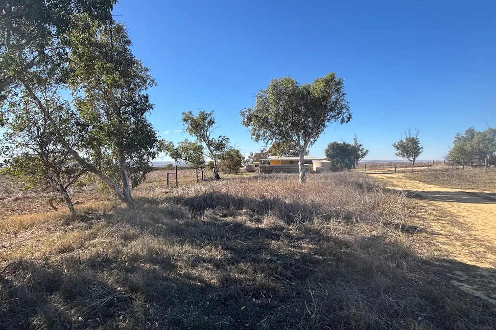 3659 Geraldton Mount Magnet Road, Wicherina, WA, 6532 - Image 2