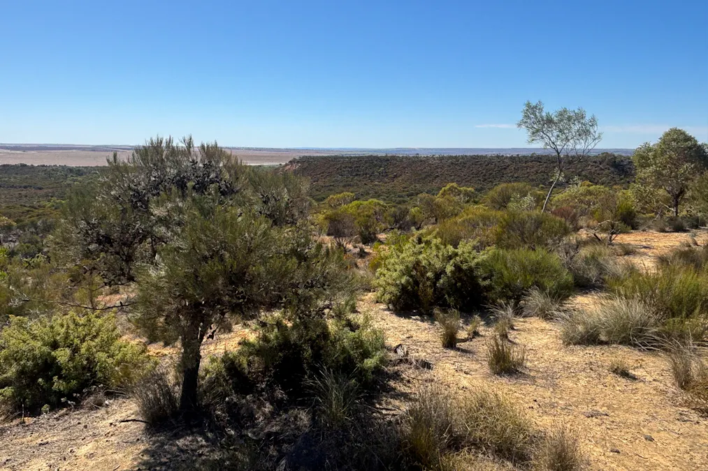 3659 Geraldton Mount Magnet Road, Wicherina, WA, 6532 - Image 1