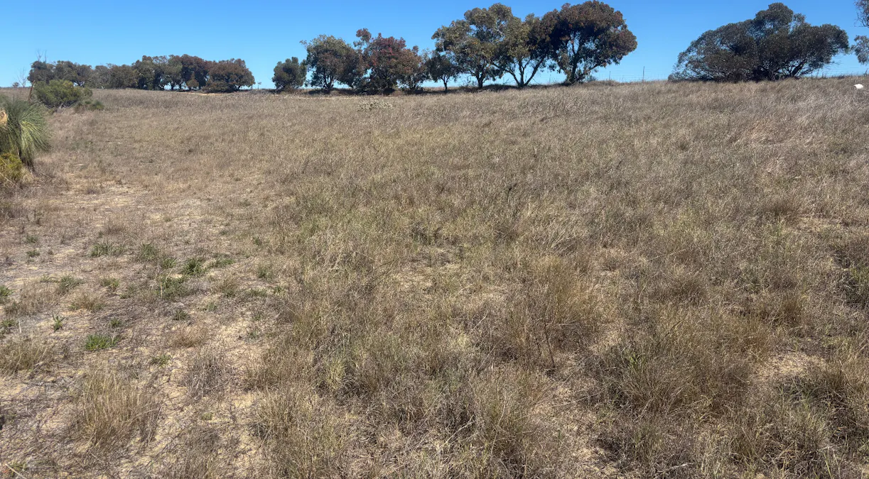 3659 Geraldton Mount Magnet Road, Wicherina, WA, 6532 - Image 13