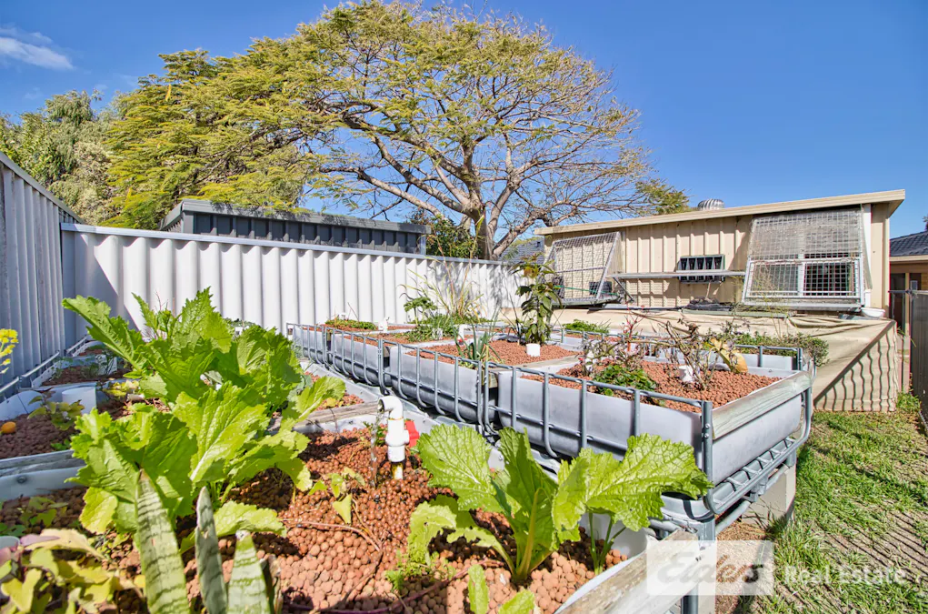 53 Lakemba Way, Waikiki, WA, 6169 - Image 25
