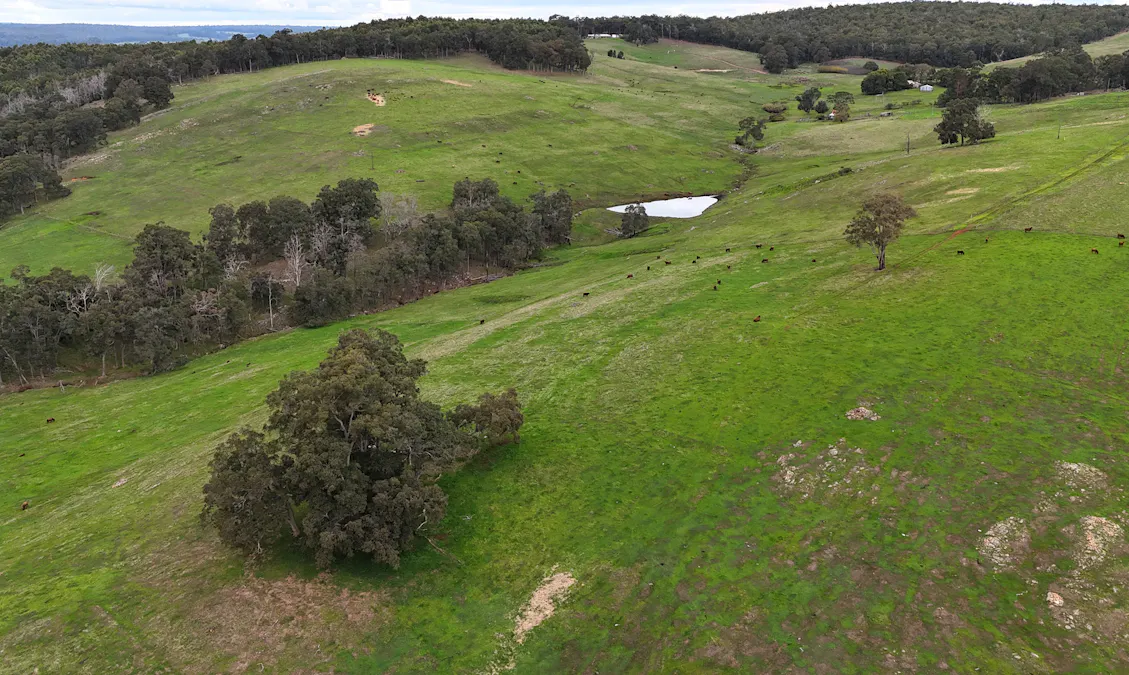 320 Mitchell Road, Newlands, WA, 6251 - Image 4