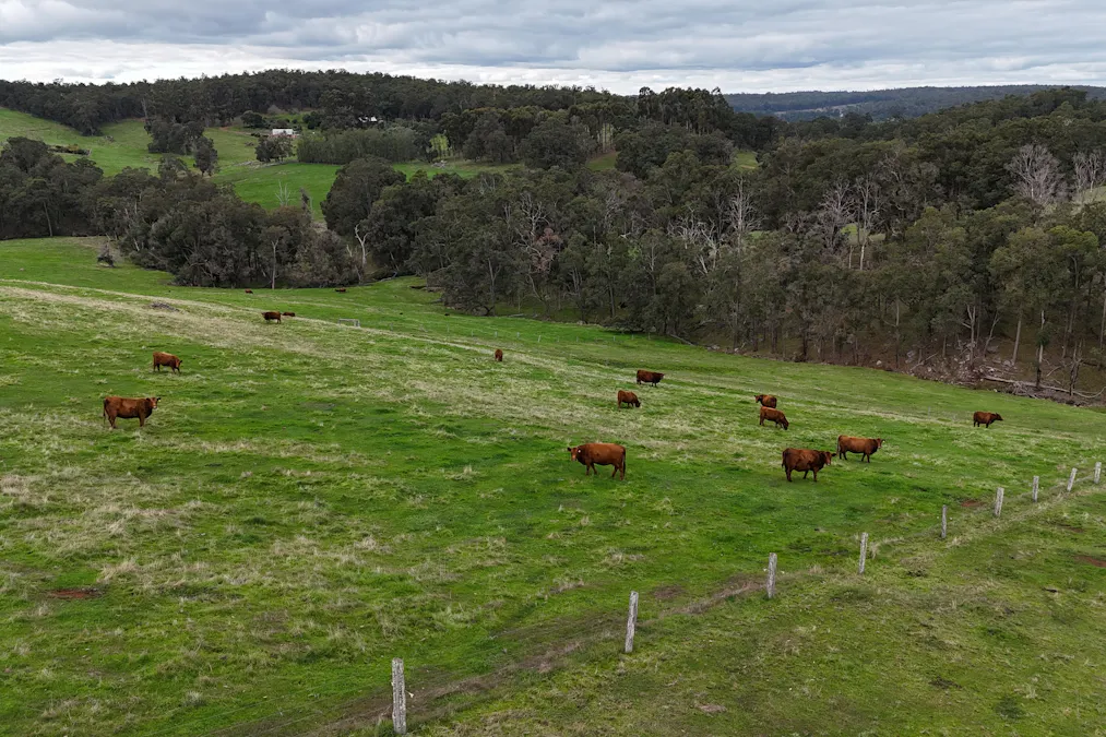 320 Mitchell Road, Newlands, WA, 6251 - Image 6