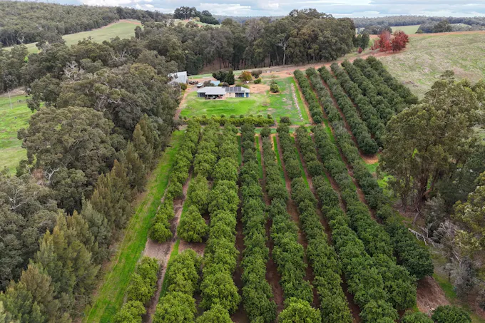 320 Mitchell Road, Newlands, WA, 6251 - Image 1