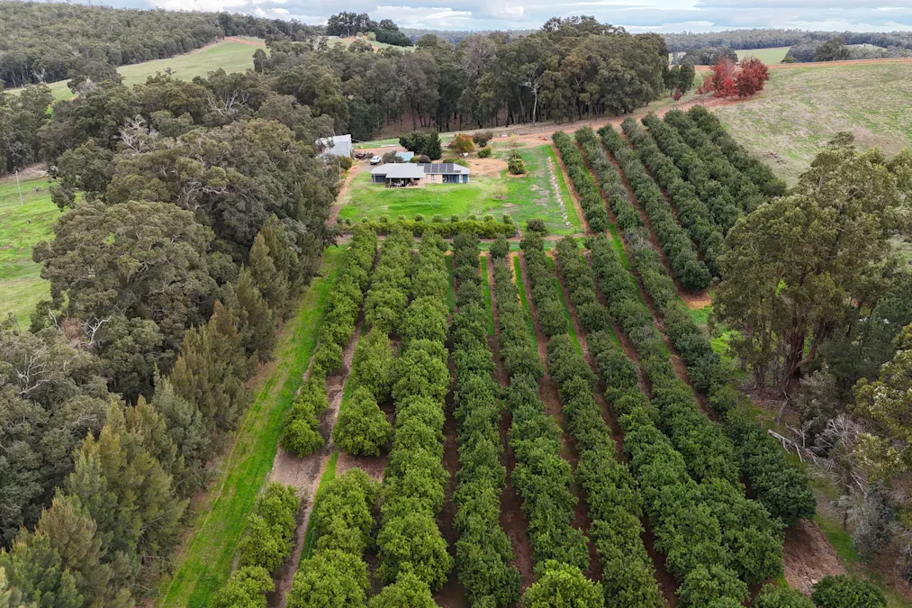 320 Mitchell Road, Newlands, WA, 6251 - Image 1