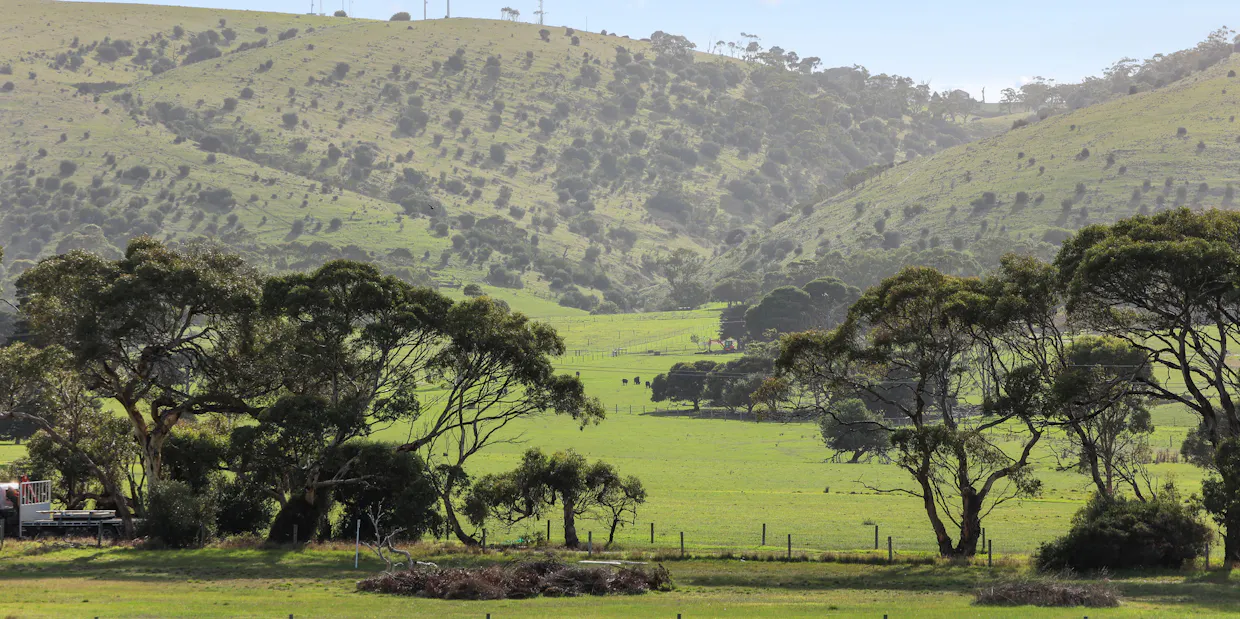 8 Kleinig Drive, Hayborough, SA, 5211 - Image 15