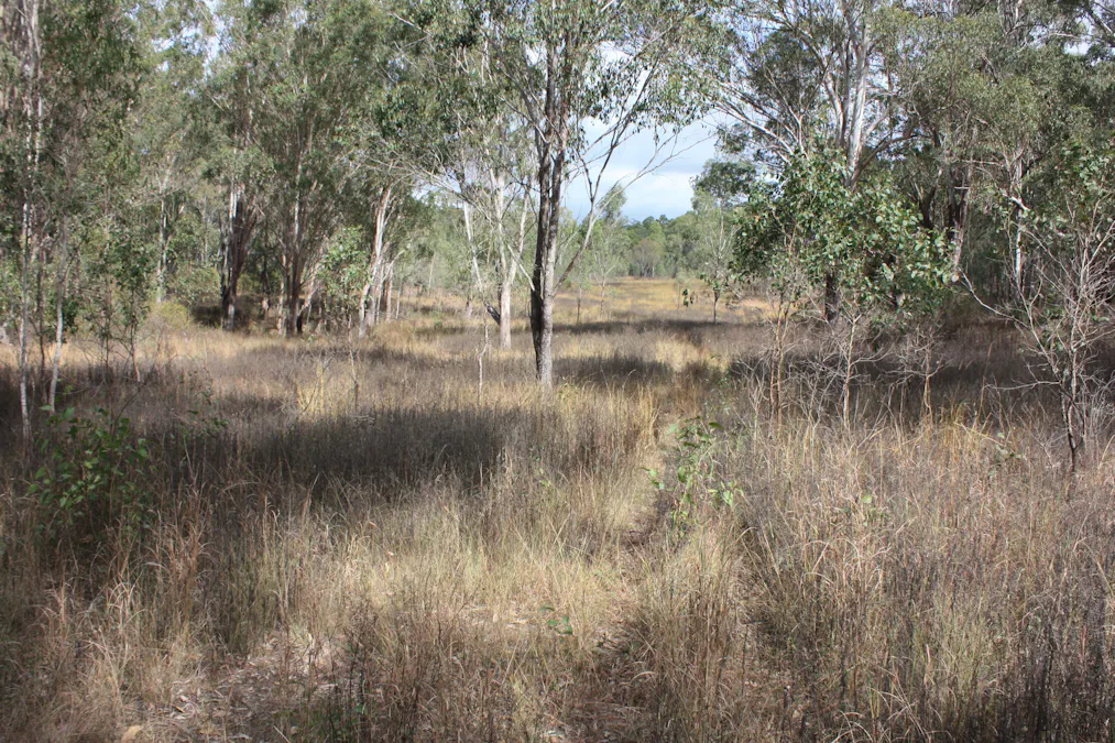 9372 Mt Lindesay Road, Tamrookum, QLD, 4285 - Image 4