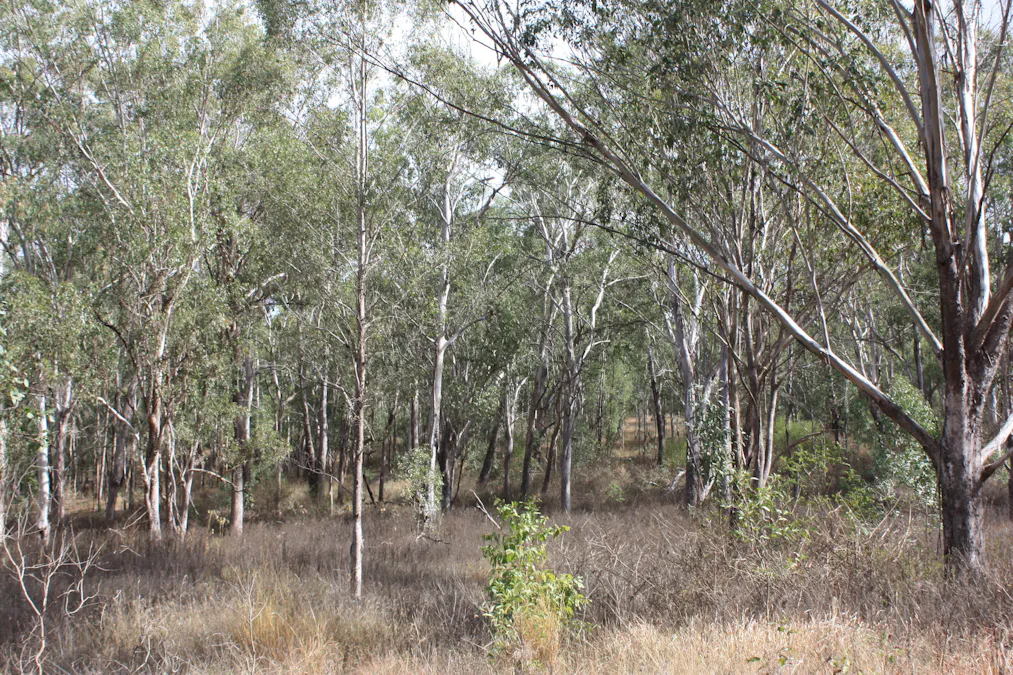 9372 Mt Lindesay Road, Tamrookum, QLD, 4285 - Image 5