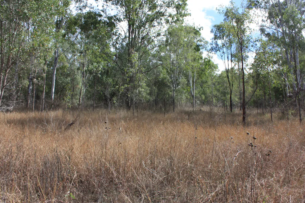 9372 Mt Lindesay Road, Tamrookum, QLD, 4285 - Image 6