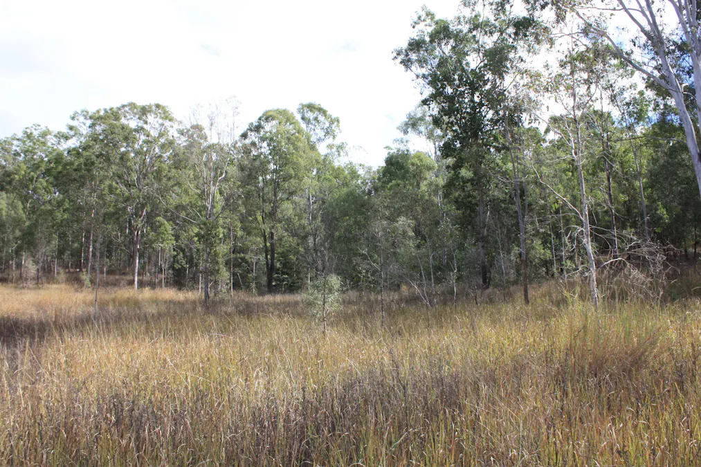 9372 Mt Lindesay Road, Tamrookum, QLD, 4285 - Image 7