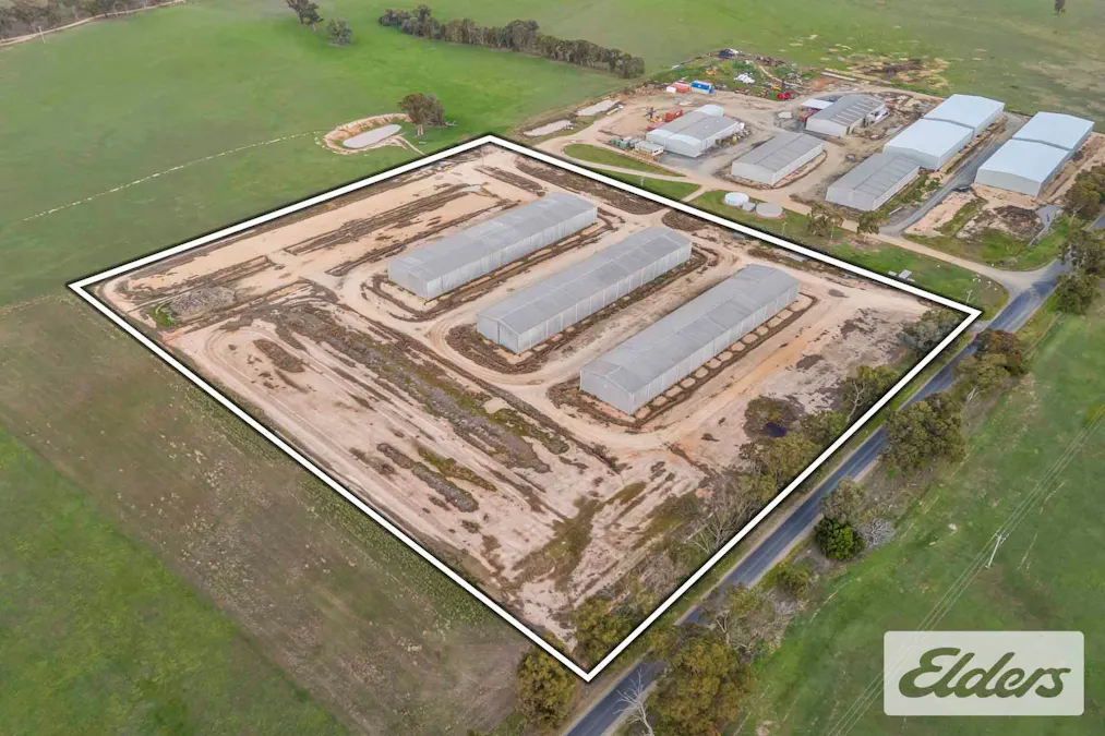 102 Avoca - Bealiba Road, Avoca, VIC, 3467 - Image 22