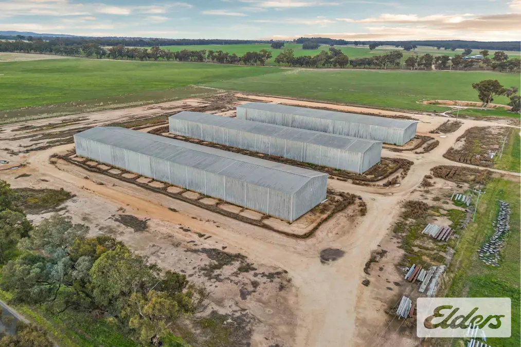 102 Avoca - Bealiba Road, Avoca, VIC, 3467 - Image 8
