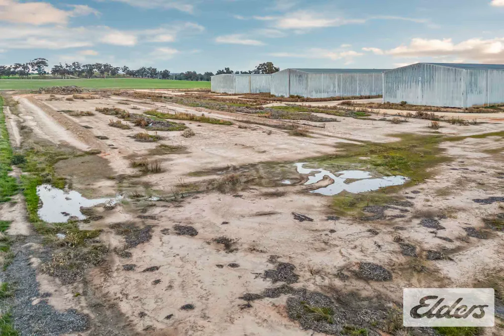 102 Avoca - Bealiba Road, Avoca, VIC, 3467 - Image 20