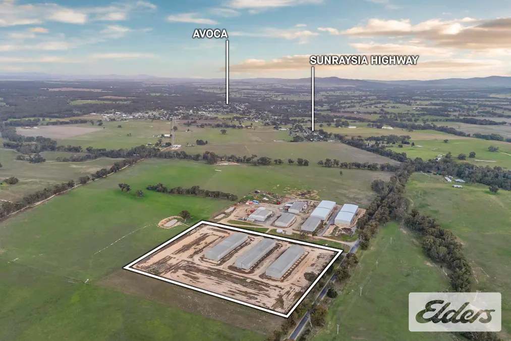102 Avoca - Bealiba Road, Avoca, VIC, 3467 - Image 3