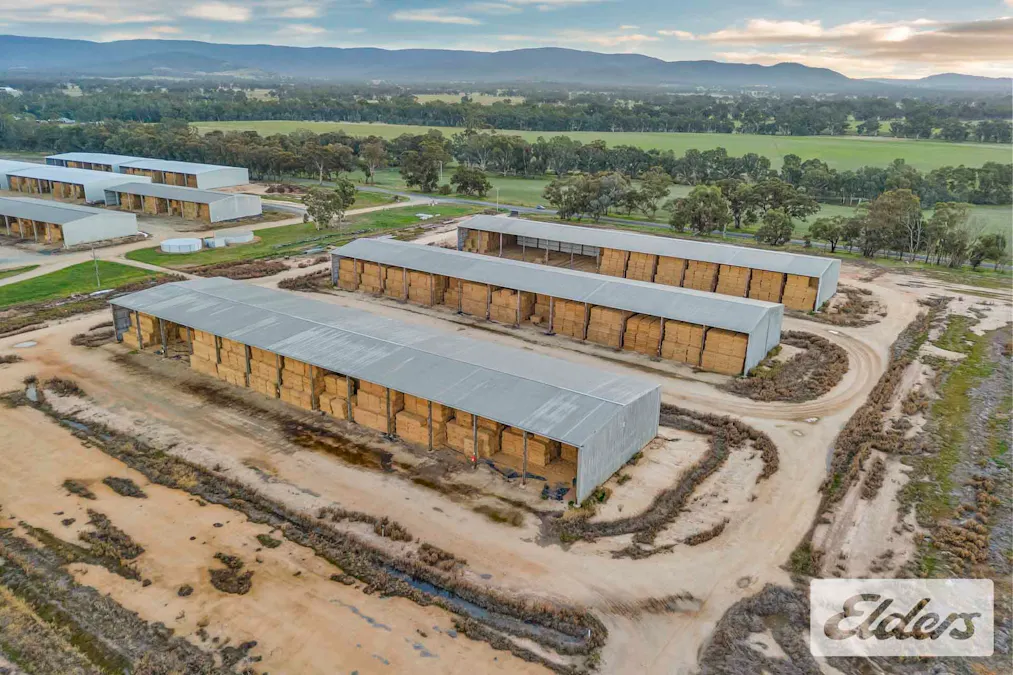 102 Avoca - Bealiba Road, Avoca, VIC, 3467 - Image 1