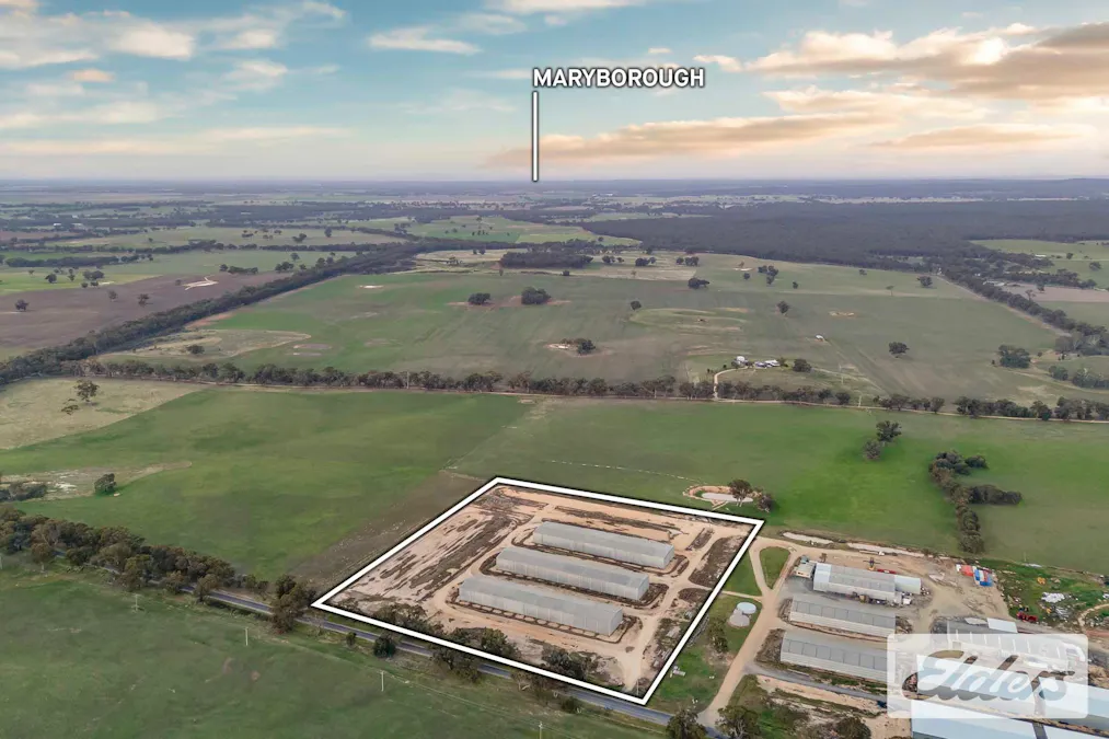 102 Avoca - Bealiba Road, Avoca, VIC, 3467 - Image 4