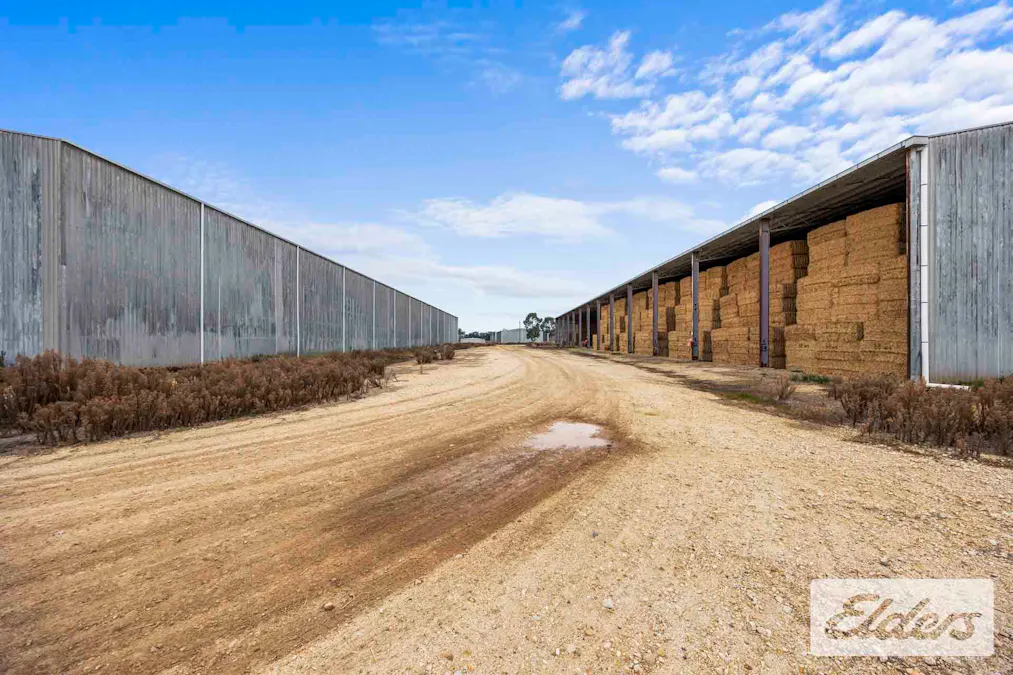 102 Avoca - Bealiba Road, Avoca, VIC, 3467 - Image 7