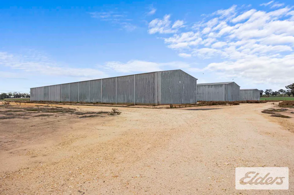 102 Avoca - Bealiba Road, Avoca, VIC, 3467 - Image 21