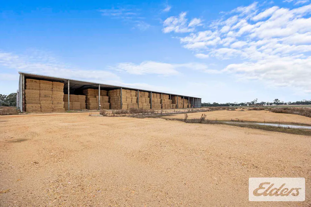 102 Avoca - Bealiba Road, Avoca, VIC, 3467 - Image 11