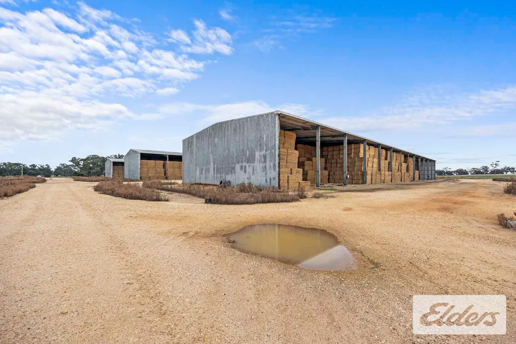 102 Avoca - Bealiba Road, Avoca, VIC, 3467 - Image 12