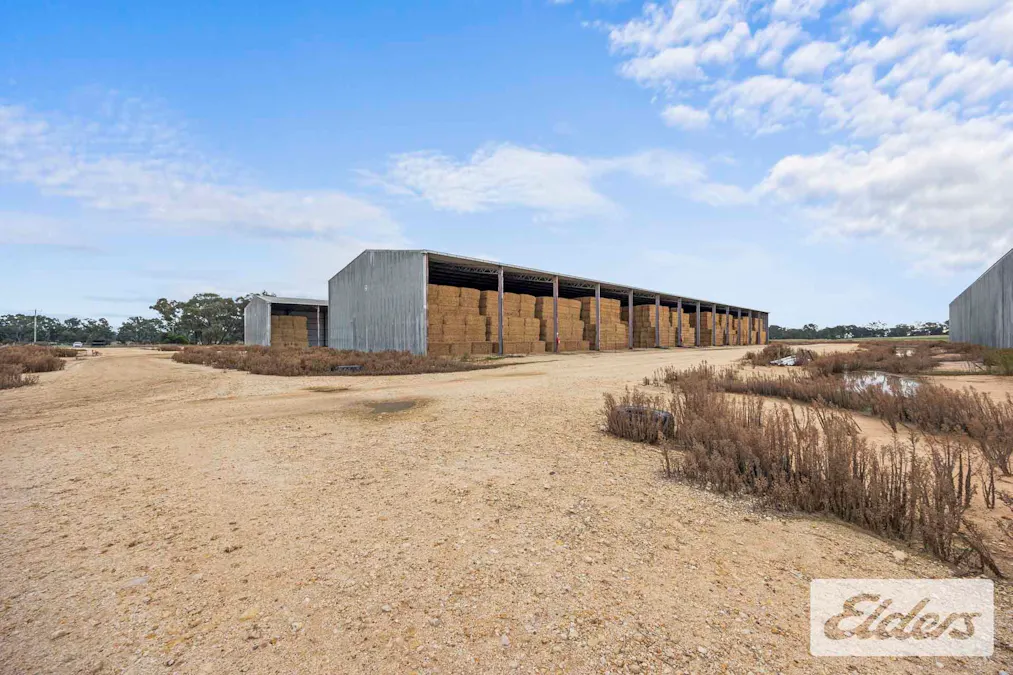 102 Avoca - Bealiba Road, Avoca, VIC, 3467 - Image 13