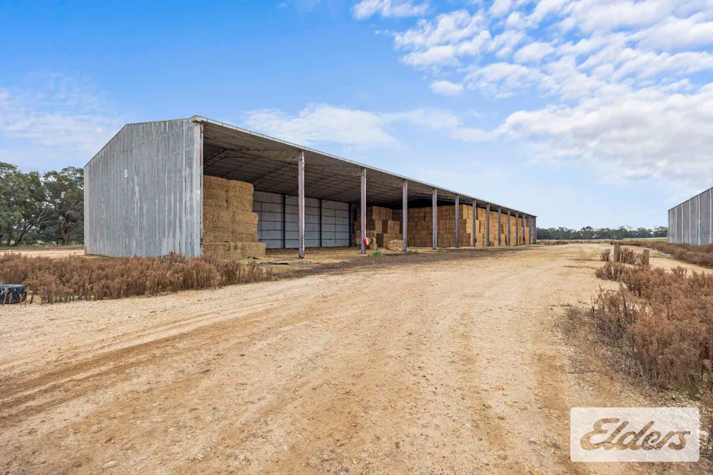 102 Avoca - Bealiba Road, Avoca, VIC, 3467 - Image 14