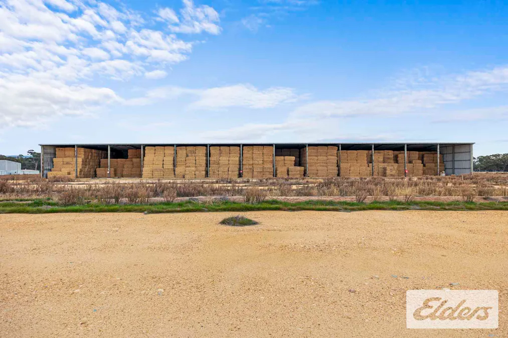 102 Avoca - Bealiba Road, Avoca, VIC, 3467 - Image 6