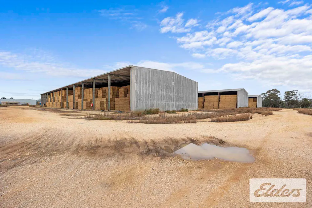 102 Avoca - Bealiba Road, Avoca, VIC, 3467 - Image 16