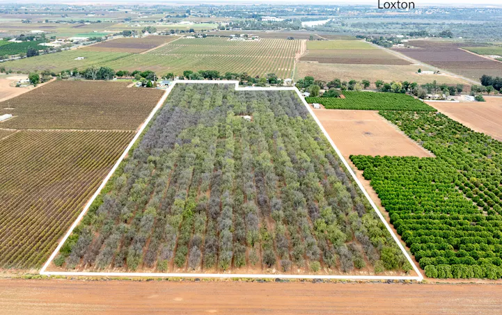 Lot 1 Briers Road, Loxton, SA, 5333 - Image 1