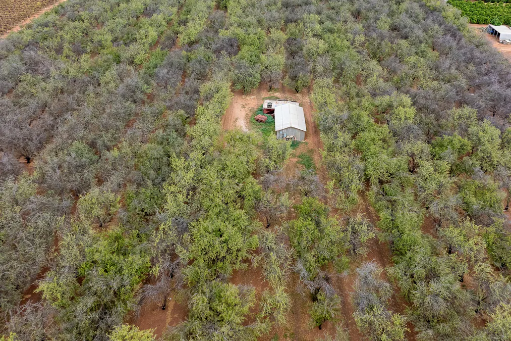 Lot 1 Briers Road, Loxton, SA, 5333 - Image 5