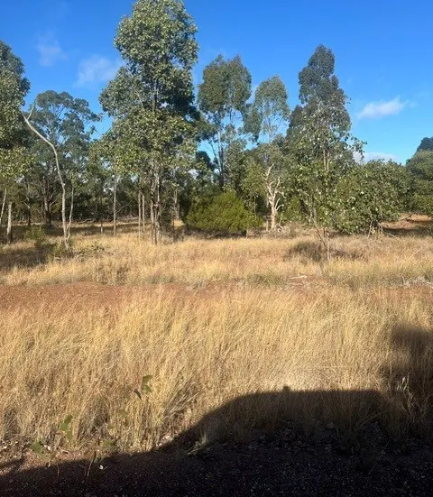 285 O'Hallorans Road, Tara, QLD, 4421 - Image 2