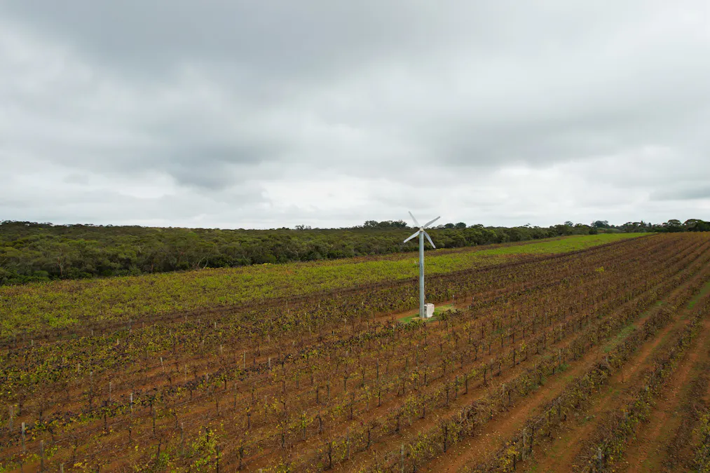 393 Thiele Road, Loveday, SA, 5345 - Image 7