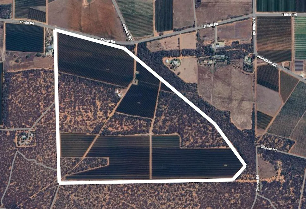 393 Thiele Road, Loveday, SA, 5345 - Image 2