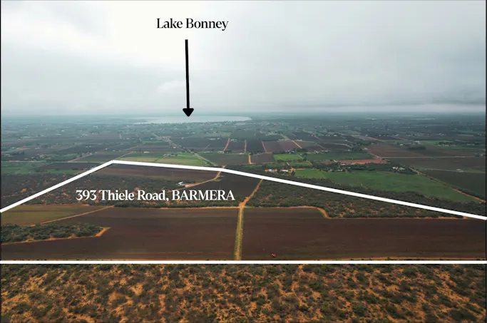 393 Thiele Road, Loveday, SA, 5345 - Image 1