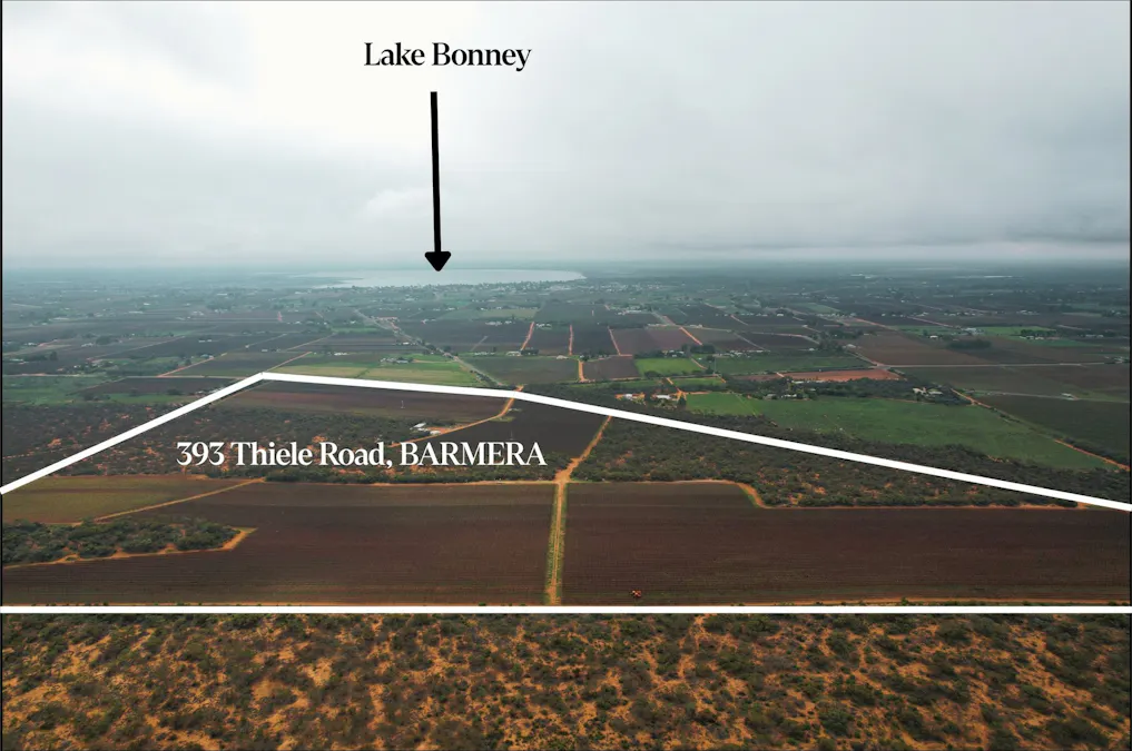 393 Thiele Road, Loveday, SA, 5345 - Image 1