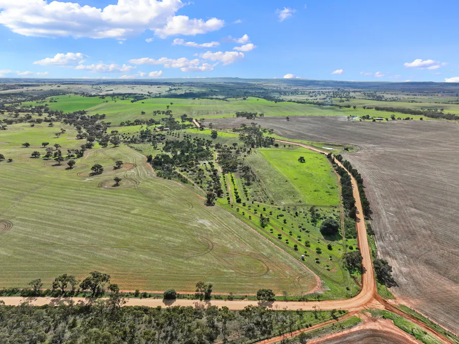 379/Aldenhoven Road, Salter Springs, SA, 5401 - Image 2