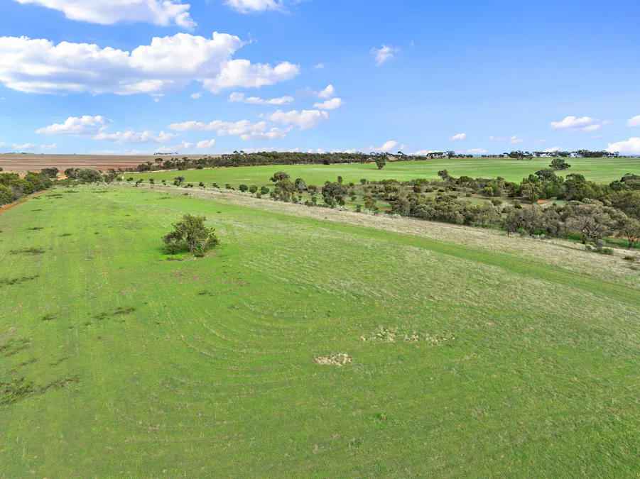 379/Aldenhoven Road, Salter Springs, SA, 5401 - Image 24