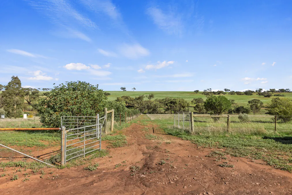 379/Aldenhoven Road, Salter Springs, SA, 5401 - Image 17
