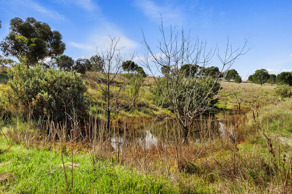 379/Aldenhoven Road, Salter Springs, SA, 5401 - Image 32